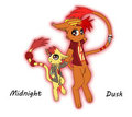 Dusk & Midnight