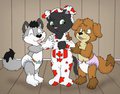 Welcome to the copy "pup"