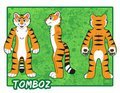Character reference sheet