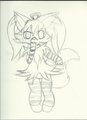 The Unnamed Braixen