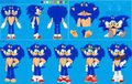 AU Sonic Ref Sheet
