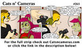 Cats n Cameras Strip #263