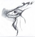 The Wolf Skull