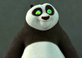 Panda Feast