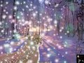   RWS Jasmine; A magical Shedu winter