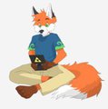 Play the 3DS by afoxens