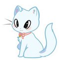 Kitten