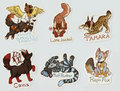 Cutesie Badges