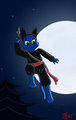 The Bloo Kitty-Ninja