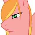 Orange Dart - Reference by DodgerGreywing