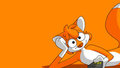 Orange Fox Wallpaper by krezz