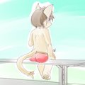 Cat Sketch by Tiam