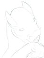 Unflattering Angles
