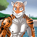 COMMISSION: Tiger and swimming pool by Anupap