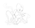 2cats by Zokva