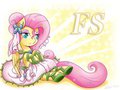 Fluttershy the bride 