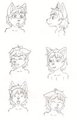 Naois head sketches 1