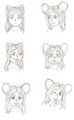 Eira head sketches 1