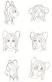 Eira head practice 2