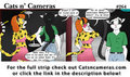 Cats n Cameras Strip #264 - Heading back