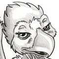 Pheaglemoo?
