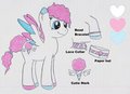Cotton my new pony