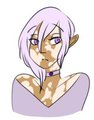 12 by SOCKMAID