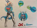 Shi Ref by NightsOfStars