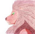 A lion's look by HeraldTheTiger