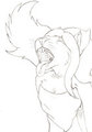 Salali Dropping Acid by Lafitte