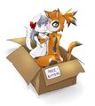 Free Kittens