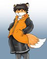 Adorable Fox