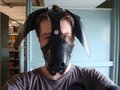Puppy Muzzle Auction! 1000+ Page views!!!