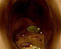 The Inside