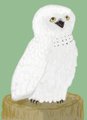 Owl by woggle