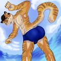Tiger Beach "bum" shot by Podamy