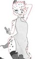 China Cheetah