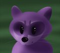 The Purple Raccoon