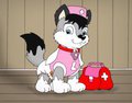 Paw Patrol Nurse