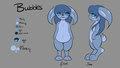 Bubbles - Reference Sheet by Yuukon