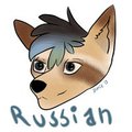 Russian the Raccoon by Stakie