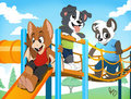 Happy cub's day!!
