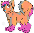 puppy by Cranberrykitten