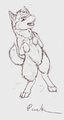 Feral Koneko Posing by KonekoWolfBoy