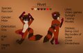 Rivet the Ringtail &hearts;