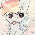 That Cool Rainbow Pony
