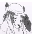 *C*_Handsome snow fox