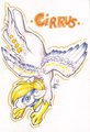 Happy Birthday, Cirrus! by Hellticket