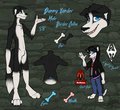 Danny Xander Ref Sheet (safe) by DannyTheBorderCollie