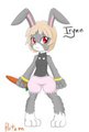 Irynn